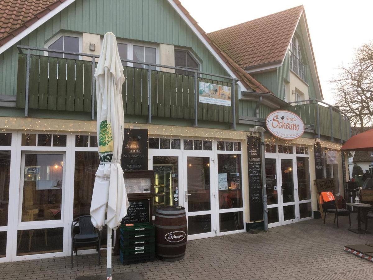 Doppelhaushaelfte Birkenstrasse 5E Βίλα Zingst Εξωτερικό φωτογραφία